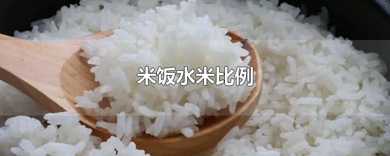 米饭水米比例
