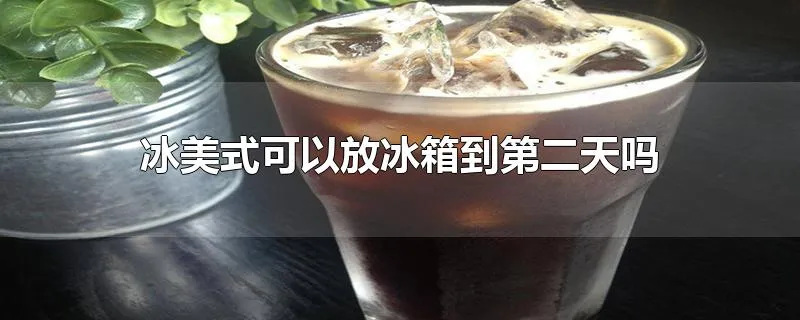 冰美式可以放冰箱到第二天吗