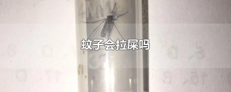 蚊子会拉屎吗