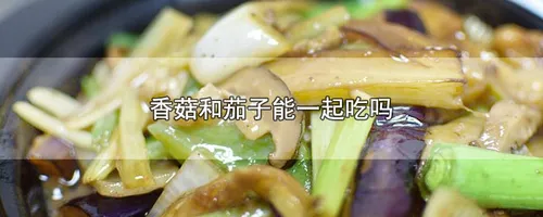 香菇和茄子能一起吃吗