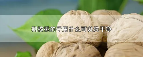 剥核桃的手用什么可以洗干净