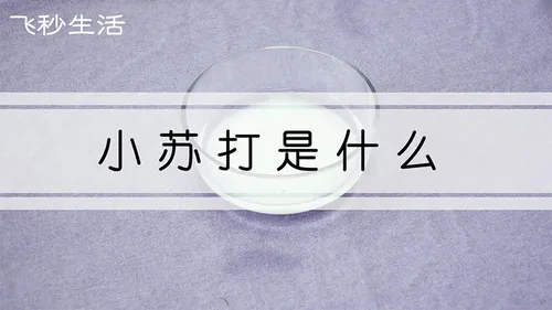 小苏打是什么