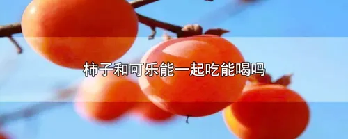 柿子和可乐能一起吃能喝吗