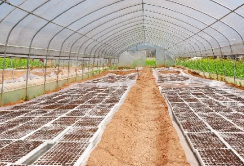 冬季棚室蔬菜的浇水注意事项 大棚蔬菜怎么浇水_植物百科知识