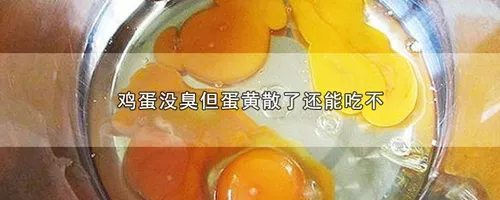 鸡蛋没臭但蛋黄散了还能吃不