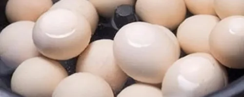 熟鸡蛋可以放冰箱第二天吃吗