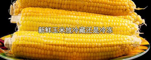 新鲜玉米放冷藏还是冷冻