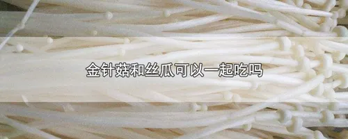 金针菇和丝瓜可以一起吃吗