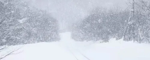 下雪看不到实线怎么办