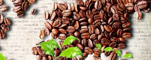 arabica咖啡是哪个国家的