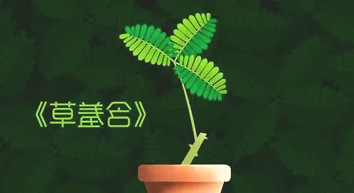 可以预报天气的植物有哪些