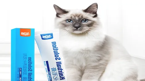 猫咪多大可以吃WOWO化毛膏？