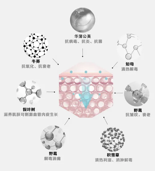 歌洛伊面膜好用吗