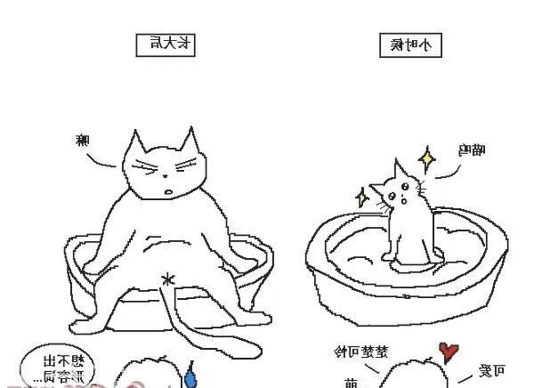 猫咪行为图解:养过猫的都懂 