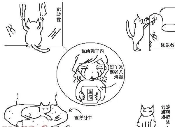 猫咪行为图解:养过猫的都懂 