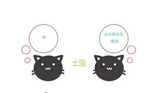 猫咪的学习能力到底有多惊人