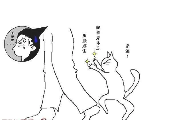 猫咪行为图解:养过猫的都懂 