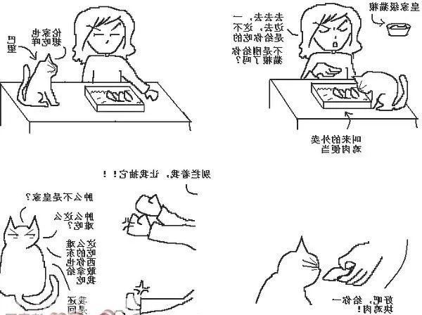 猫咪行为图解:养过猫的都懂 