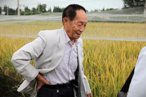 科学家袁隆平