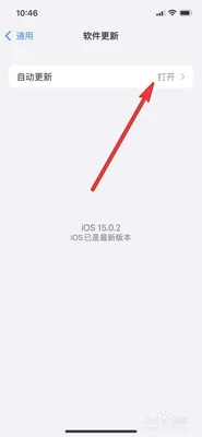 iphone怎么关软件自动更新(如果可以请推迟您的更新计划)