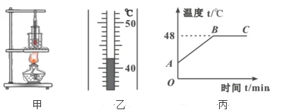 烟台金叶女贞苗木怎么种植（金叶女贞移栽注