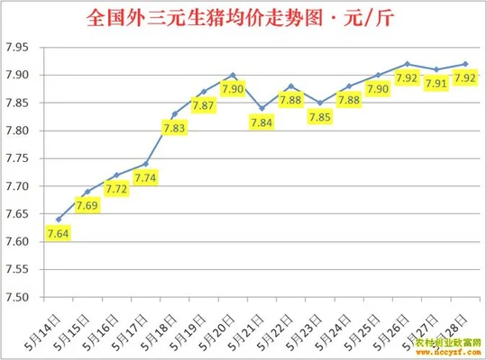 生猪肉价格今日价(猪价大跌15.35%)