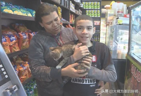 男孩捡流浪猫求宠物店主收养(百余只！桂林这个小伙有点烦)