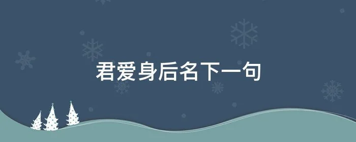 君爱身后名下一句,请君爱此人 似昔我爱君