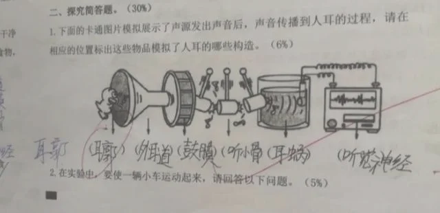 闪闪的星星像什么(闪闪的星星像什么句子)