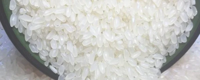 粳米和粘米有什么区别,籼米粳米和粘米的