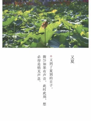 又夏的寓意