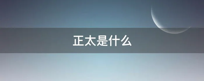 正太是什么