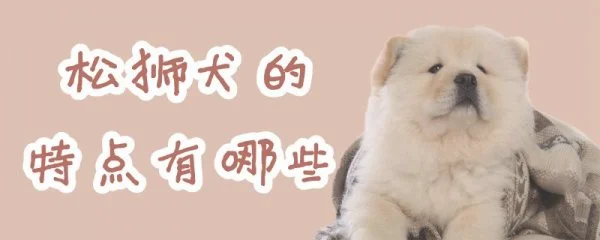 松狮犬的特点有哪些