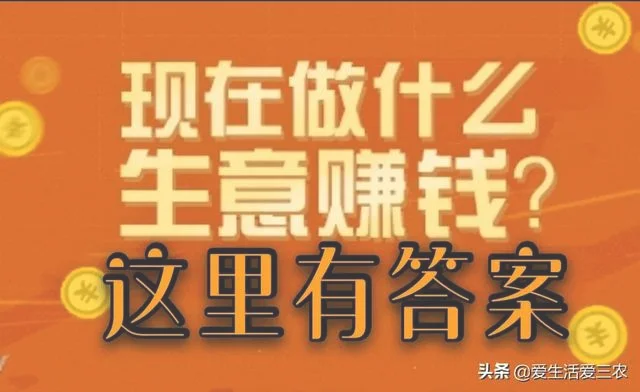 黄金李子价格是多少钱一斤(今年的李子价格是多少)