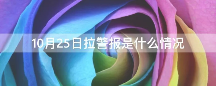 10月25日拉警报是什么情况