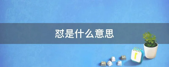 怼是什么意思