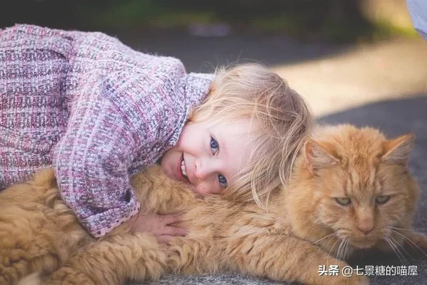 猫知道人类的小孩是小孩吗(养猫的诡异禁