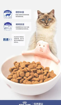 猫结石一定要吃处方粮吗？看完你就知道了!