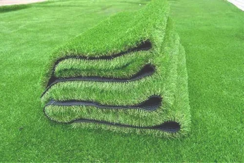3、草坪在空气湿度大或有灰尘时，易发生各种病害。