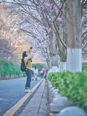 狗狗叼出丈夫的私房钱，作为妻子到底要不要拆穿他、保守他的「小秘密」