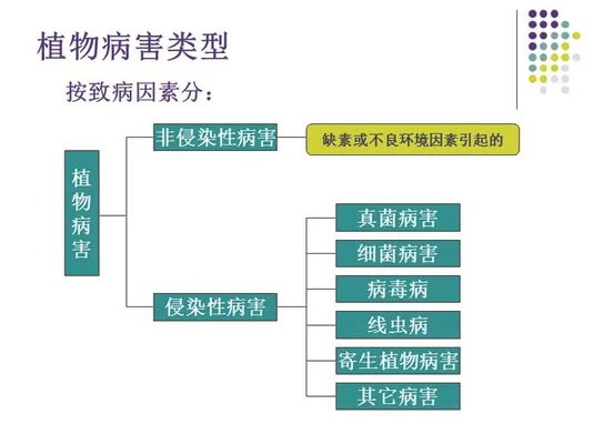 5、病害防治