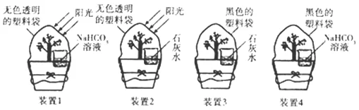 4、光照条件