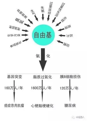 人体自由基是什么东西,对人体有什么危害