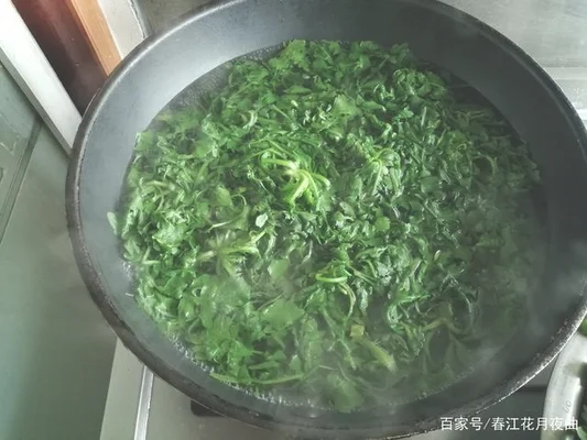 荠菜不焯水可以吃吗