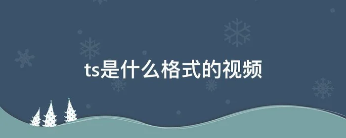 ts是什么格式的视频,ts是视频格式吗