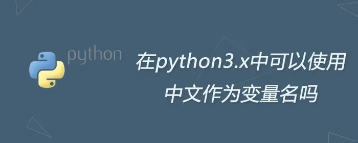 python软件怎么设置中文(别再说看不懂了)