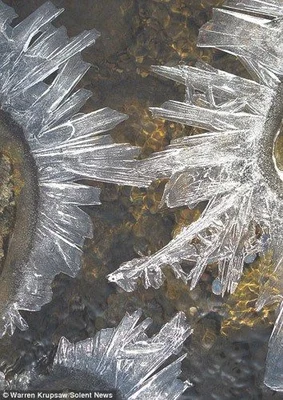 冰晶是什么,冰晶是怎么形成的,为什么水会