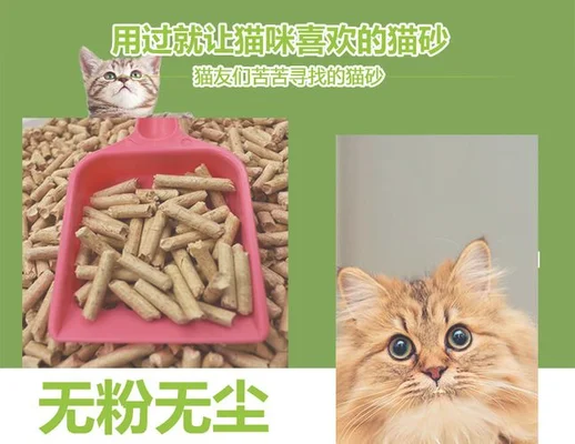 5kg猫砂能用多久？教你如何正确使用,让猫不再抓狂!"/