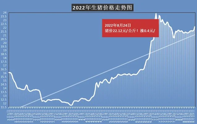 今日全国生猪价格一览表猪价多少(猪价行