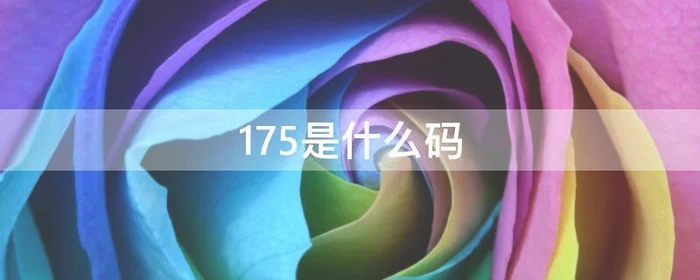 175是什么码,175是什么码女装上衣